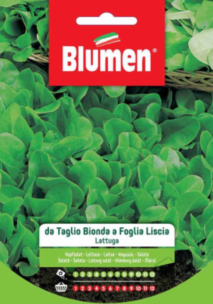 Lattuga taglio bionda foglia liscia - acquista su Lovisetto Garden - Buste semi orto