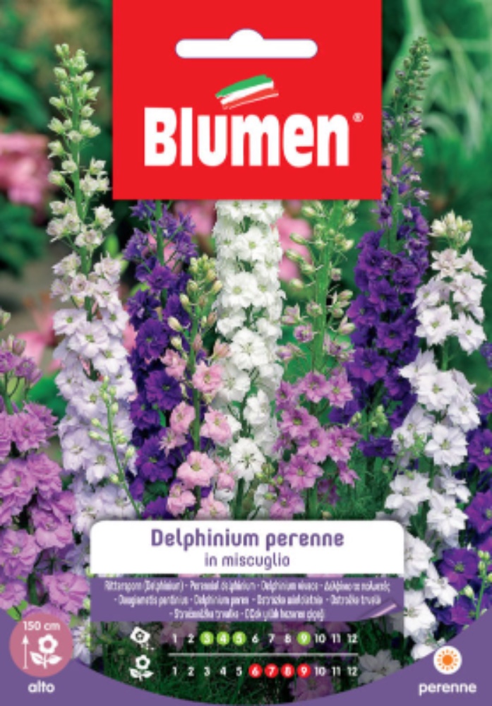 Delphinium perenne in miscuglio - acquista su Lovisetto Garden - Buste di fiori