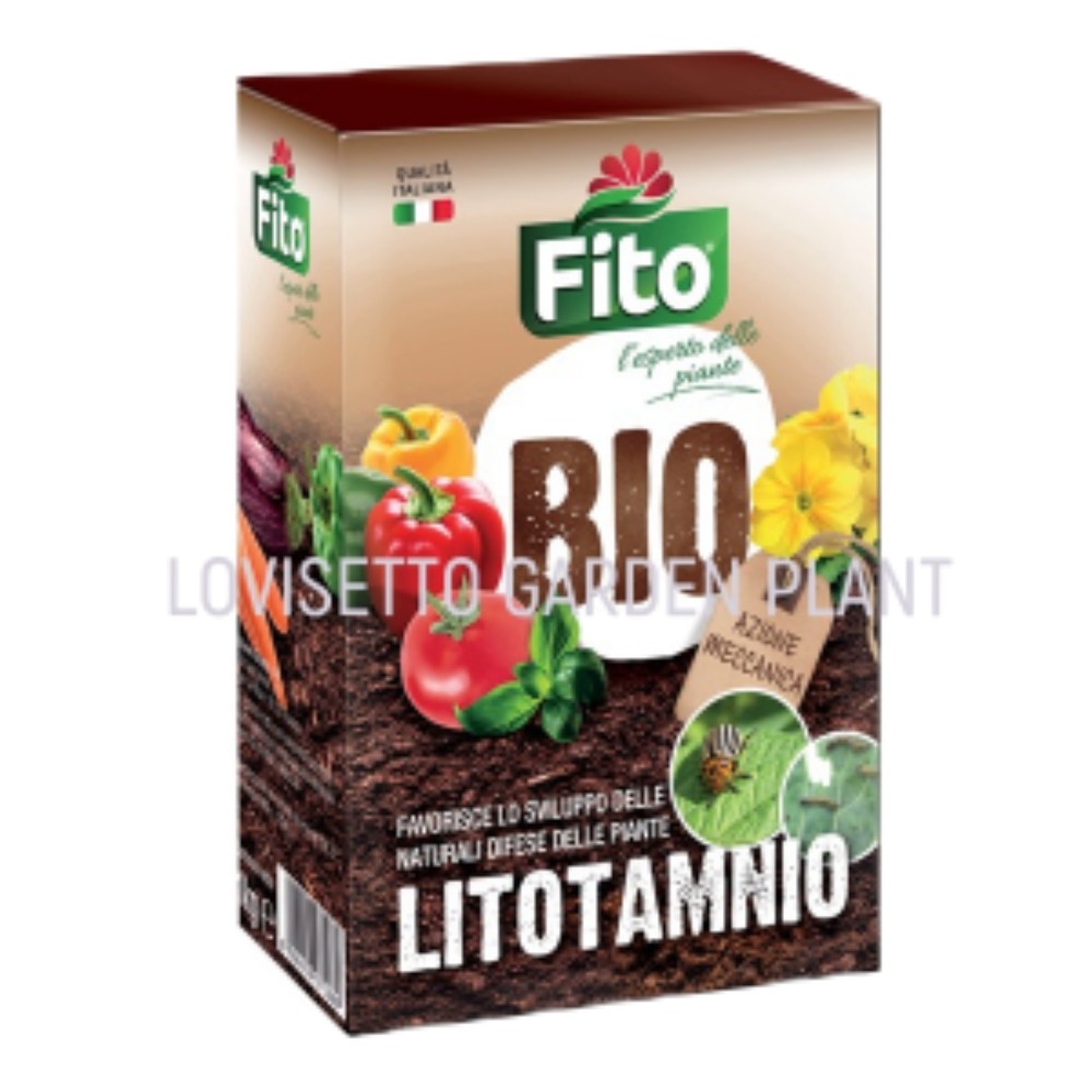 Litotamnio - acquista su Lovisetto Garden - Prodotti - Bio