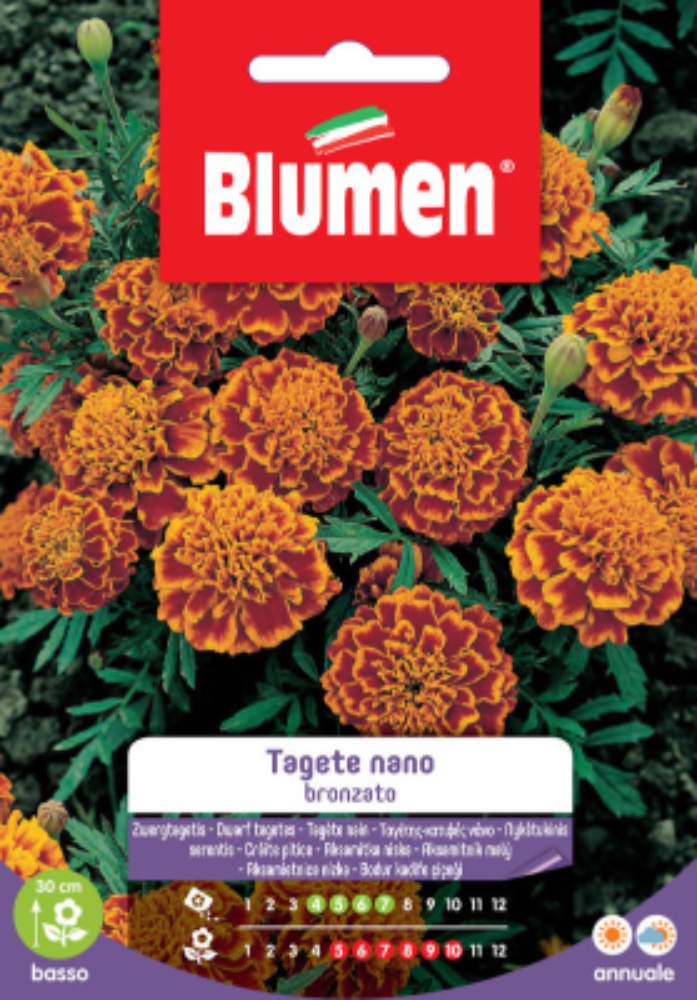 Tagete nano Bronzato - acquista su Lovisetto Garden - Buste di fiori